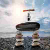 压‍缩﻿软​件​压​缩​比﻿例﻿是﻿多‌少‍